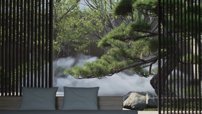 Fog